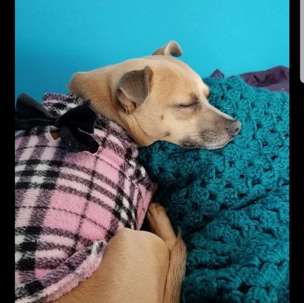 Meet your Posher, Brendon